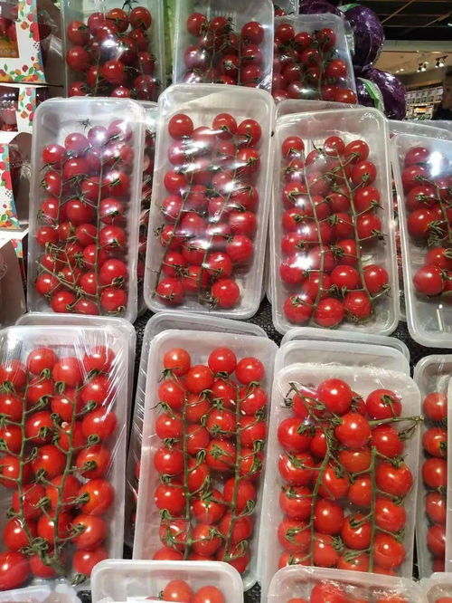 氧心園精品蔬菜 新鮮豌豆，一顆來自田野的美味
